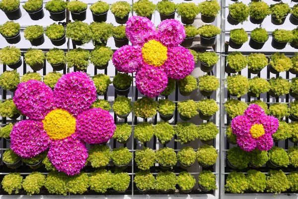 Doğa Arkaplanı için Çiçek Deseni.