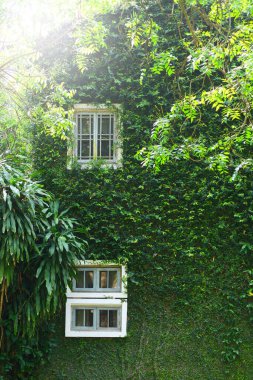 Doğada güzel yeşil bir ev. 