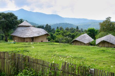 Bambu mimarisi doğanın arka planında. 