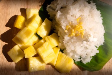 Mango doğada yapış yapış pirinç.