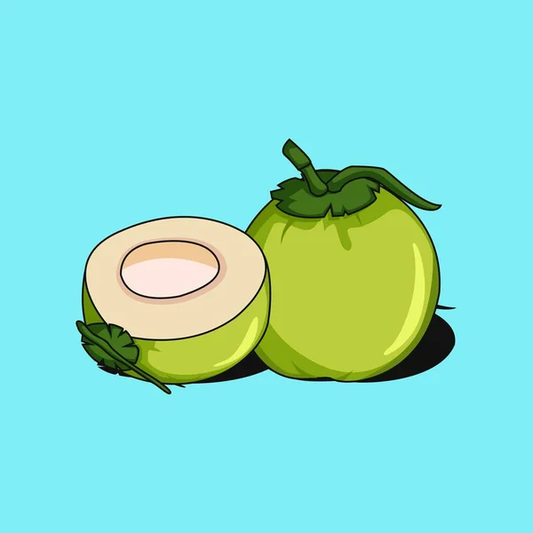 Illustration Vector Graphic Coconuts — Vettoriale Stock
