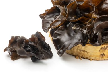 Ahşap kesitteki muer mantarlar beyaz arka planda izole edilmiş. Yahudi 'nin kulak mantarı stüdyo çekimi. Yenilebilir kara mantar - auricularia polytricha, ayrıca bulut kulağı, siyah mantar, jöle mantarı olarak da bilinir.