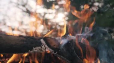 Ormanda yangın. Yakacak odun alev ve duman dilleriyle yanar. Ağaç dallarının yanması arka planda gün batımıyla birlikte kapanır.