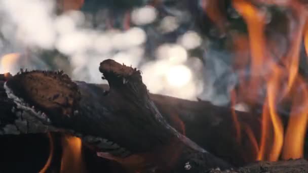 森林失火了柴火燃烧着火焰和烟雾的舌头 燃烧的树枝随着夕阳西下的背景而关上了 — 图库视频影像