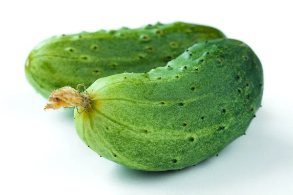 Fresh Harvest Cucumbers Dry Blossom Isolated White Background Green Gherkins — Stok fotoğraf