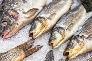 Balık pazarında buzlu taze deniz ürünleri. Donmuş deniz balığı tezgahta bekliyor. Tasarım için soyut gıda geçmişi kavramı. Alan için kopyala