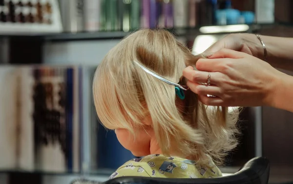 Barbeiro Mulher Fazer Elegante Penteado Bonito Para Criança Menina Loira — Fotografia de Stock