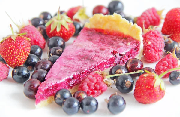 Summer cake with black currant filling on white background — Stock Photo, Image