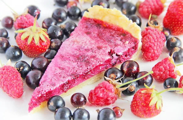 Summer cake with black currant filling on white background — Stock Photo, Image