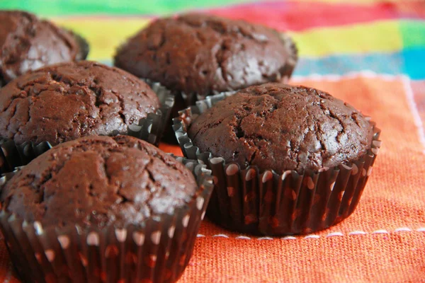 Muffins au chocolat — Photo