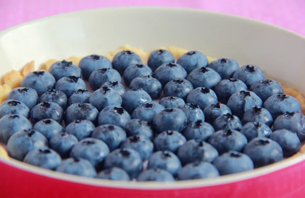 Tarte aux myrtilles avec remplissage de yaourt — Photo