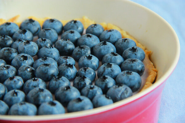 Blueberry tart with yogurt filling