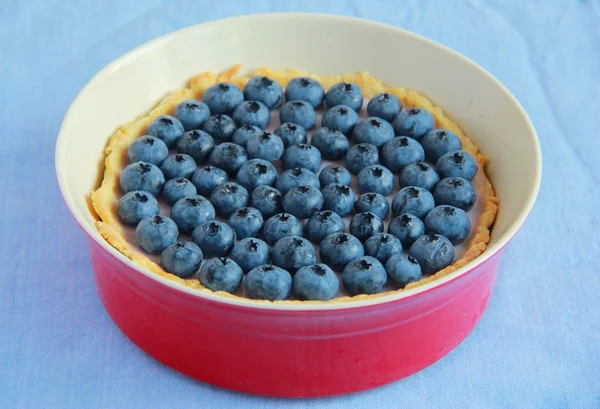 Blueberry tart with yogurt filling — Stock Photo, Image