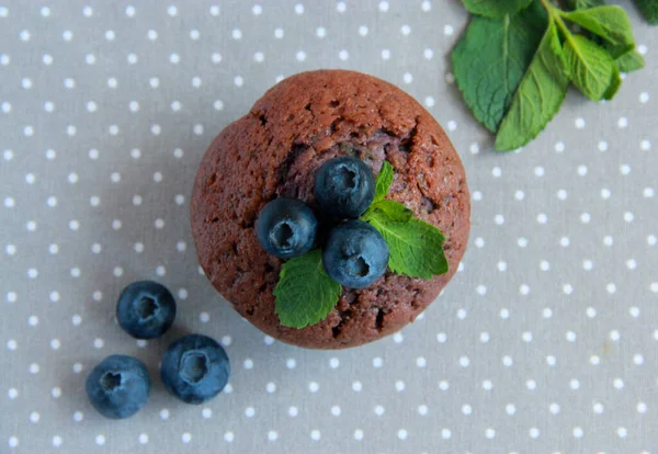 Homemade Chocolate Muffins Blueberry Delicious Cupcakes Plate Decorated Fresh Berries — Photo