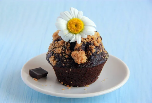 巧克力松饼 盘子里放着饼干杂烩 可可豆和黑巧克力自制纸杯蛋糕 有选择的焦点 — 图库照片