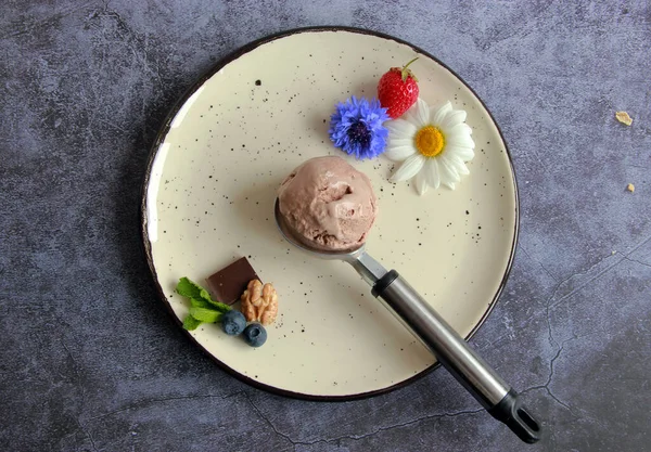 Homemade Chocolate Ice Cream Soft Ice Cream Cocoa Delicious Summer — стоковое фото