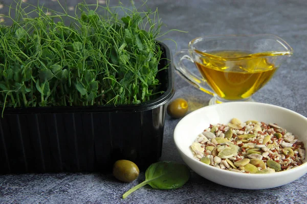 Microgreen Set Olive Oil Different Seeds Healthy Snack Vegans Vegetarians — Foto de Stock