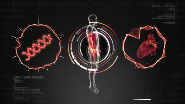 Ανατομία του ανθρώπινου σώματος σάρωση με καρδιά και dna - βρόχο κινούμενα σχέδια — Αρχείο Βίντεο