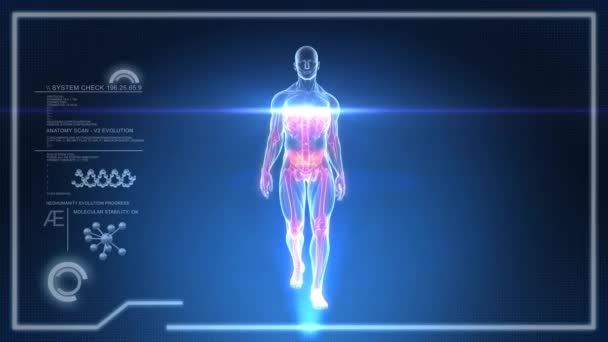 Cuerpo humano virtual caminando en una interfaz de rayos X de pantalla táctil - Animación LOOP — Vídeo de stock