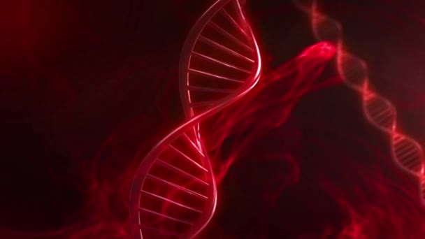 Червоні кров'яні ДНК strand світіння в уповільненому русі - 3d анімація — стокове відео