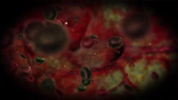 Células sanguíneas sanas y enfermas que fluyen dentro del corazón — Vídeo de stock
