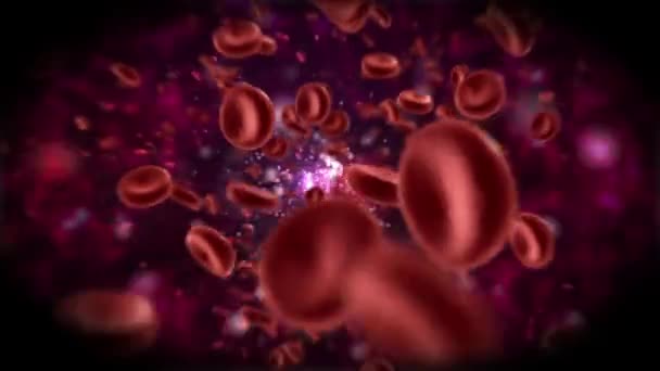 Red Blood Cells Flow - Traveling through vein inside body — Stock Video