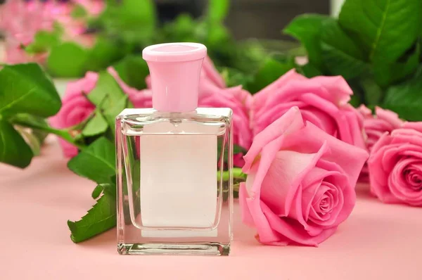 Perfume rosa sobre fundo rosa com flores — Fotografia de Stock