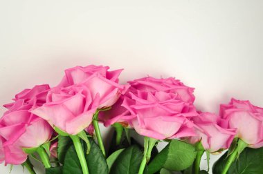 Beyaz arkaplanda pembe gül buketi kopyalama alanı