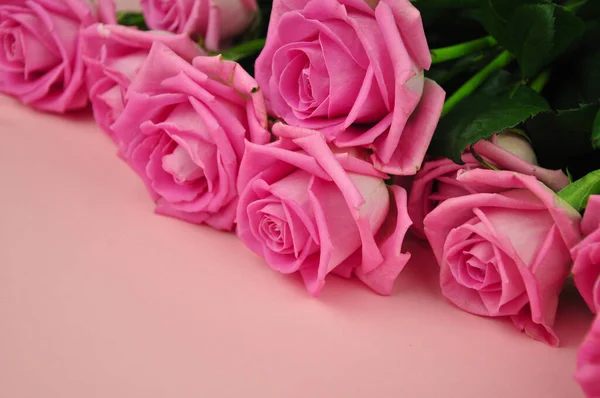 Bouquet of roses on pink background copy space — Stock Photo, Image