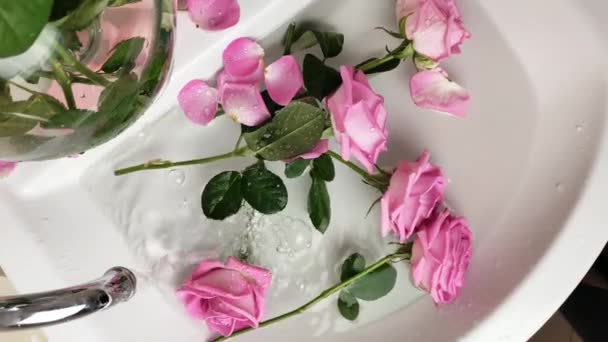 Glass of wine and bouquet of pink roses in sink — Stock Video