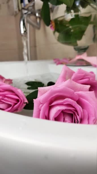 Egy pohár bor és rózsaszín rózsa csokor a mosogatóban — Stock videók
