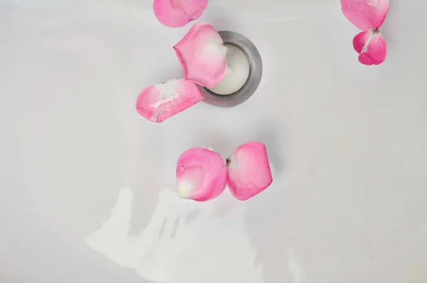 Rosafarbene Rosenblätter im Waschbecken — Stockfoto