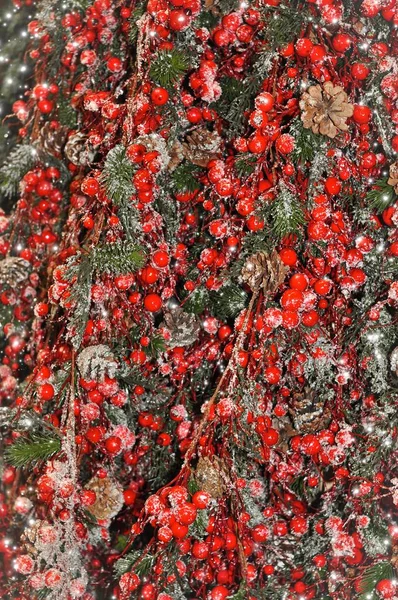 Close up of snowy yew berry Christmas decorations — Stock fotografie