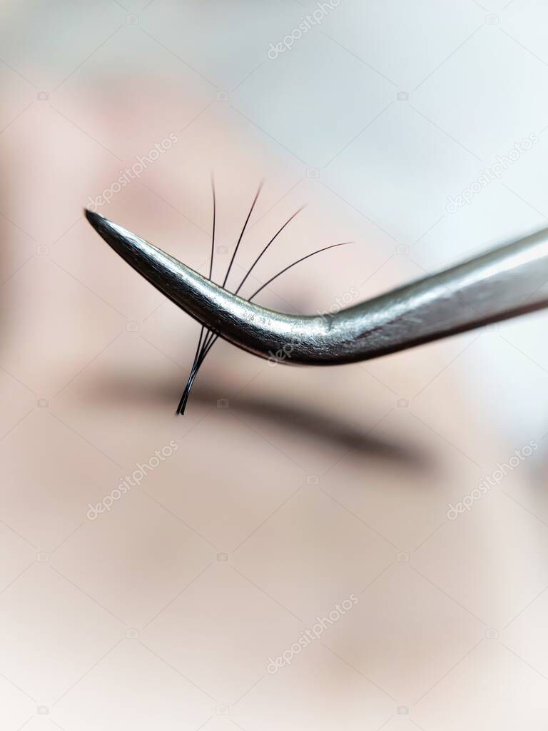 Bunch of fake lashes in tweezers for eyelash extensions . High quality photo
