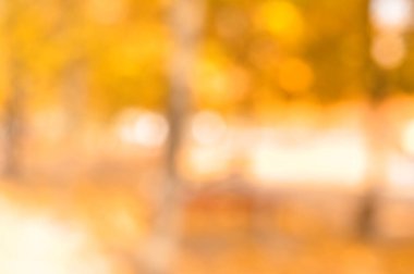 Autumn Park 'ın bulanık arkaplanı. Yüksek kalite fotoğraf