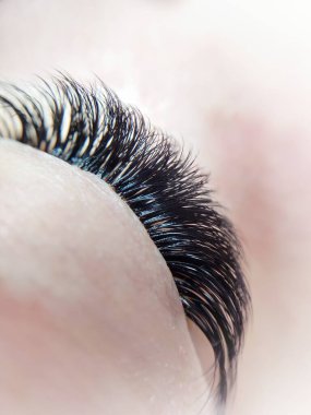 Güzellik salonu makro gözünde kırbaç uzantıları. Yüksek kalite fotoğraf