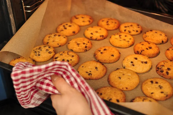 Süße Knusprige Kekse Mit Dunkler Schokolade Für Teatime Kopierraum — Stockfoto