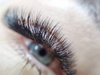 Güzellik salonu makro gözünde kırbaç uzantıları. Yüksek kalite fotoğraf