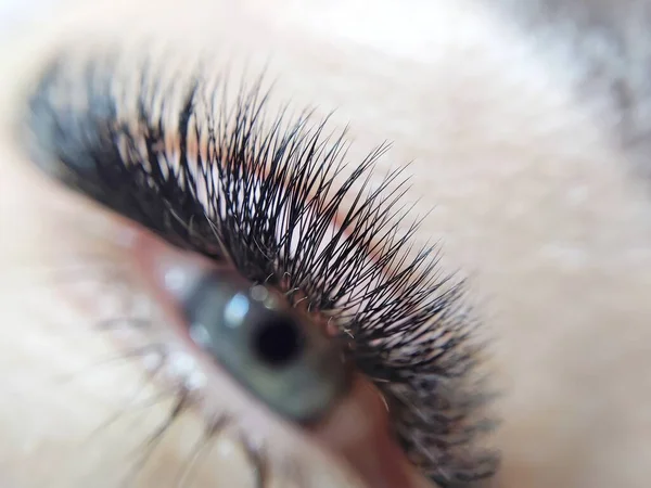 Lash Extensions Beauty Salon Macro Eye High Quality Photo — Stock Photo, Image