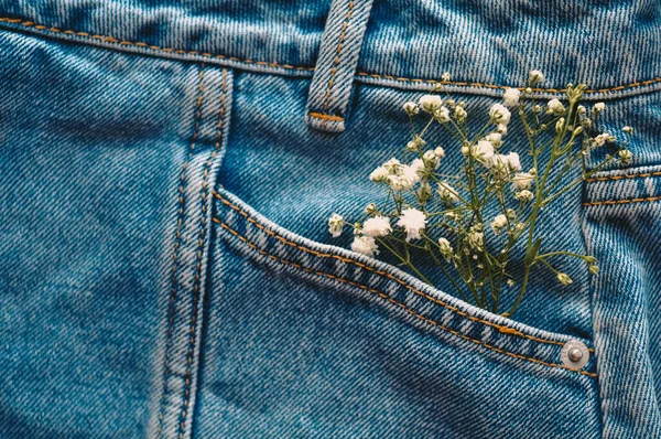 青いジーンズのポケットコピースペースでのヒプソフィア 高品質の写真 — ストック写真