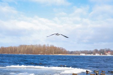  Mavi bulutlu gökyüzünde uçan kuşlar kopyalama arkaplanı 