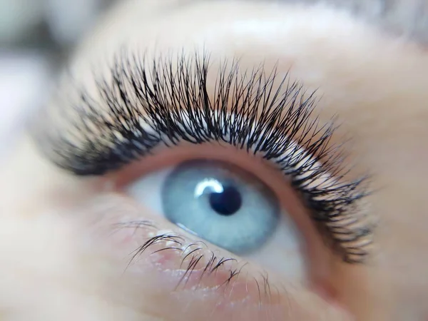 Lash Extensions Schoonheidssalon Macro Eye Hoge Kwaliteit Foto — Stockfoto