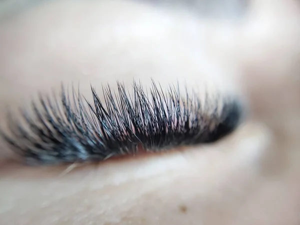 Fake Lashes Lash Extensions Beauty Salon High Quality Photo — Stock Photo, Image