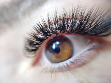 Güzellik salonu makro gözünde kırbaç uzantıları. Yüksek kalite fotoğraf