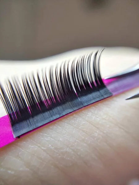 Fake lashes for lash extensions in beauty salon . High quality photo