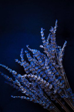 Menekşe buketi kurutulmuş lavanta çiçekleri botanik arka planda. Yüksek kalite fotoğraf