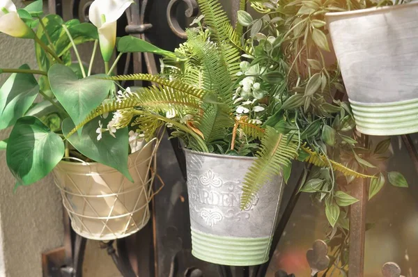 Três flores em vasos na varanda tempo de jardinagem — Fotografia de Stock