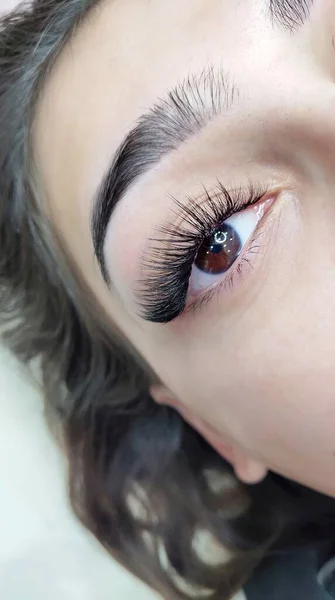 Eyelash extensions in beauty salon macro eye