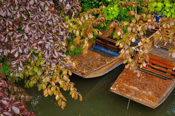 Nehir yürüyüşleri için çok sayıda turist için ahşap kayıklar . 