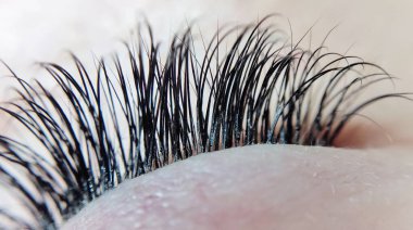 Eyelash extensions in beauty salon macro eye Kim effect 
